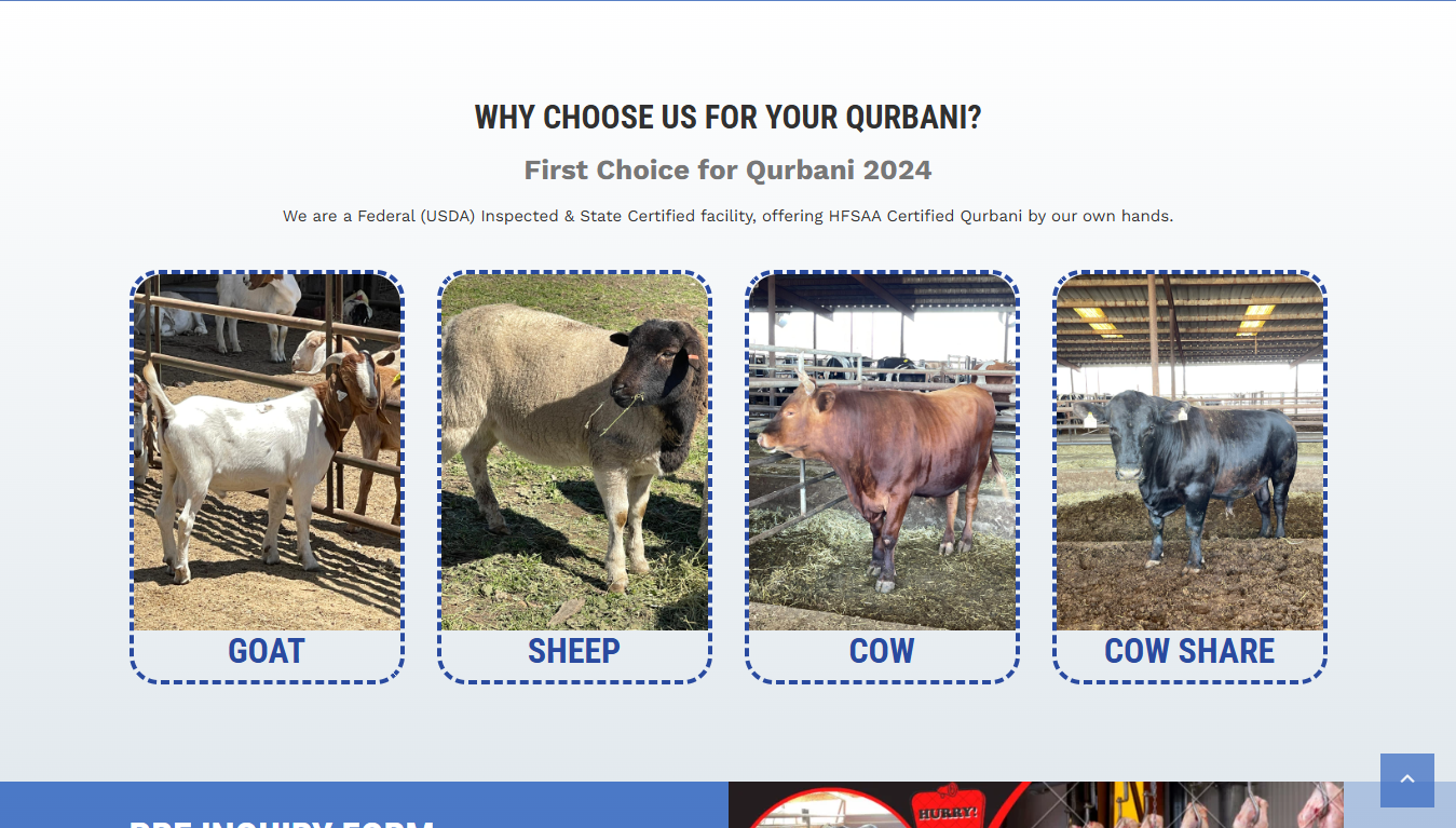 qurbaninmore